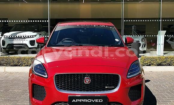 Buy Used Jaguar E-Pace Red Car in Chilanga in Lusaka Buy Used Jaguar E-Pace Red Car in Chilanga in Lusaka