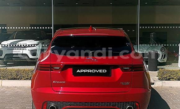 Buy Used Jaguar E-Pace Red Car in Chilanga in Lusaka Buy Used Jaguar E-Pace Red Car in Chilanga in Lusaka