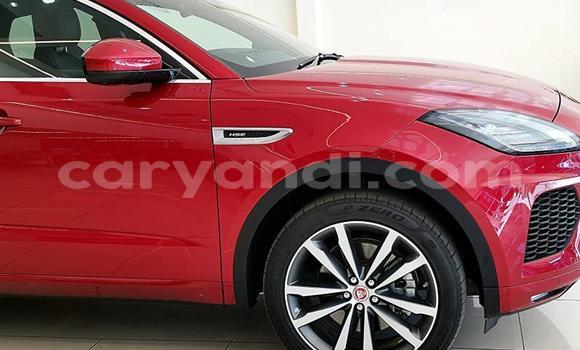 Buy Used Jaguar E-Pace Red Car in Chilanga in Lusaka Buy Used Jaguar E-Pace Red Car in Chilanga in Lusaka