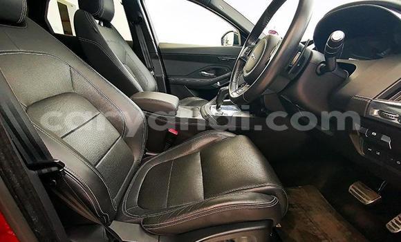 Buy Used Jaguar E-Pace Red Car in Chilanga in Lusaka Buy Used Jaguar E-Pace Red Car in Chilanga in Lusaka