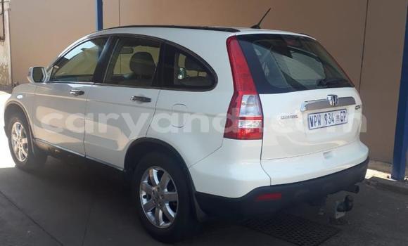 Acheter Occasion Voiture Honda CR–V Blanc à Livingstone, Zambie Acheter Occasion Voiture Honda CR–V Blanc à Livingstone, Zambie