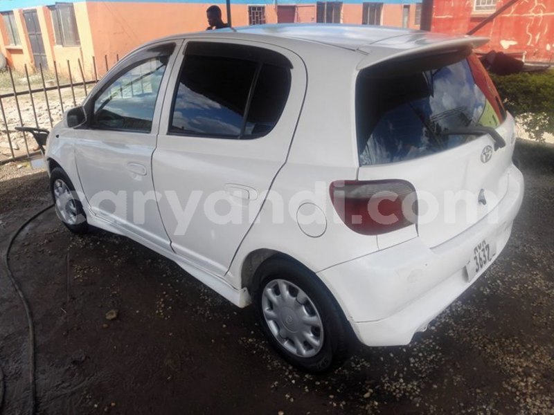 Big with watermark 30629329 194112211393369 244064733525704704 n