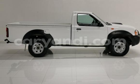 Tenga Tsaru Nissan NP 300 Chena Mota in Livingstone in Zambia Tenga Tsaru Nissan NP 300 Chena Mota in Livingstone in Zambia