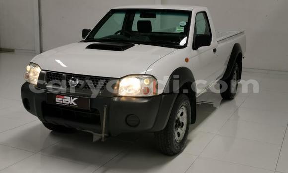 Tenga Tsaru Nissan NP 300 Chena Mota in Livingstone in Zambia Tenga Tsaru Nissan NP 300 Chena Mota in Livingstone in Zambia