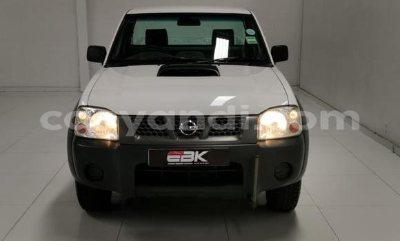 Tenga Tsaru Nissan NP 300 Chena Mota in Livingstone in Zambia Tenga Tsaru Nissan NP 300 Chena Mota in Livingstone in Zambia