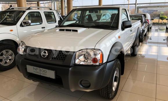 Buy Used Nissan NP 300 White Car in Ndola in Zambia Buy Used Nissan NP 300 White Car in Ndola in Zambia