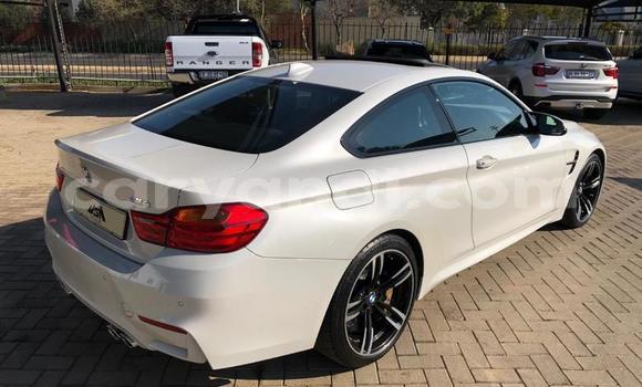 Tenga Tsaru BMW M4 Chena Mota in Chingola in Zambia Tenga Tsaru BMW M4 Chena Mota in Chingola in Zambia