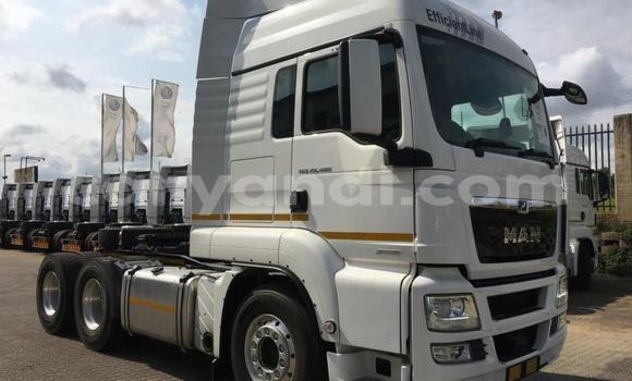 Buy Used Man TGX White Truck in Choma in Southern Buy Used Man TGX White Truck in Choma in Southern