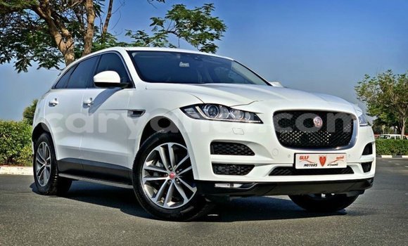 Buy Import Jaguar F-Pace White Car in Import - Dubai in Zambia