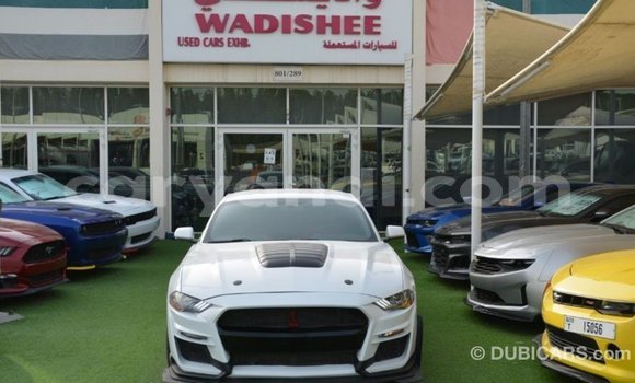Buy Import Ford Mustang White Car in Import - Dubai in Zambia Buy Import Ford Mustang White Car in Import - Dubai in Zambia