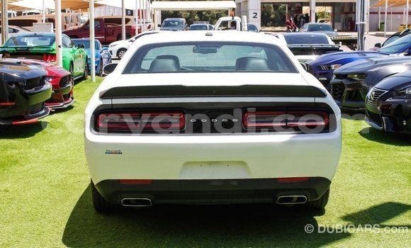 Buy Import Dodge Challenger White Car in Import - Dubai in Zambia Buy Import Dodge Challenger White Car in Import - Dubai in Zambia