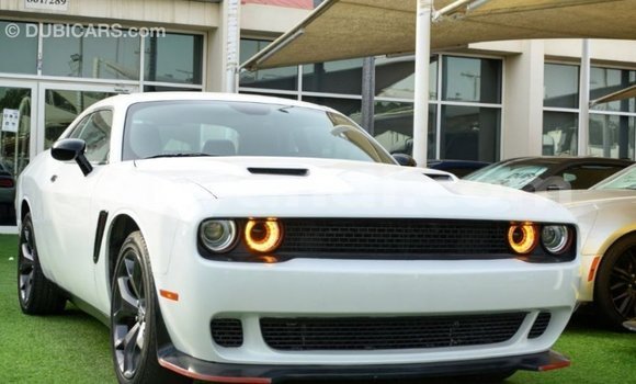 Buy Import Dodge Challenger White Car in Import - Dubai in Zambia Buy Import Dodge Challenger White Car in Import - Dubai in Zambia