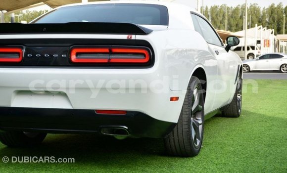 Buy Import Dodge Challenger White Car in Import - Dubai in Zambia Buy Import Dodge Challenger White Car in Import - Dubai in Zambia