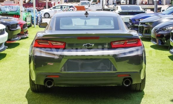 Buy Import Chevrolet Camaro Other Car in Import - Dubai in Zambia Buy Import Chevrolet Camaro Other Car in Import - Dubai in Zambia