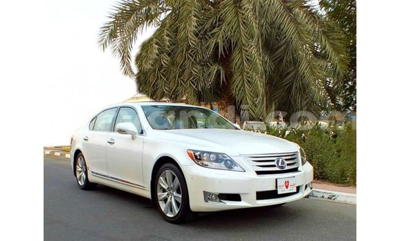Buy Import Lexus LS White Car in Import - Dubai in Zambia