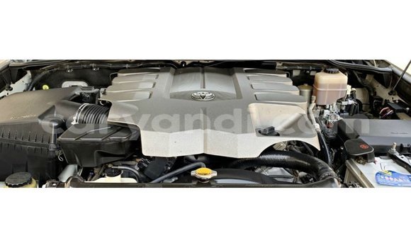 Acheter Import Voiture Toyota Land Cruiser Blanc à Import - Dubai, Zambie Acheter Import Voiture Toyota Land Cruiser Blanc à Import - Dubai, Zambie