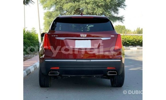 Buy Import Cadillac XT5 Red Car in Import - Dubai in Zambia Buy Import Cadillac XT5 Red Car in Import - Dubai in Zambia