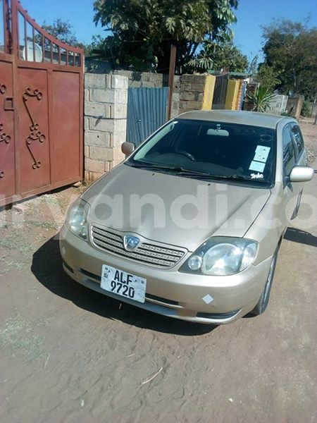 Big with watermark 30623955 578122035882356 6857030771144654848 n