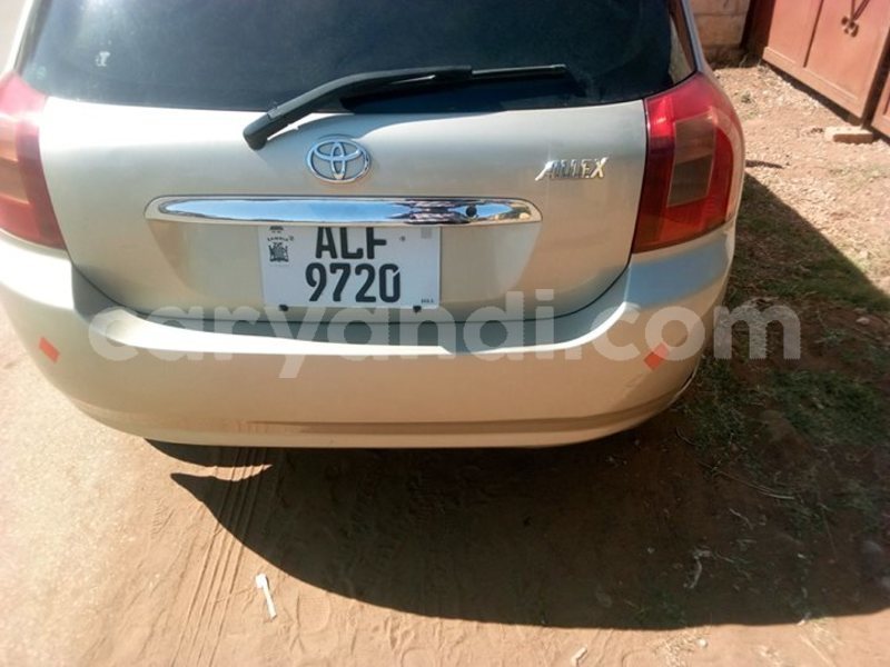 Big with watermark 30629329 194112211393369 244064733525704704 n