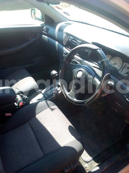 Big with watermark 30705011 1080215435450894 1812932972978896896 n