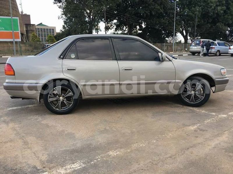 Big with watermark 30623955 578122035882356 6857030771144654848 n