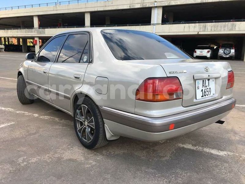 Big with watermark 30629329 194112211393369 244064733525704704 n