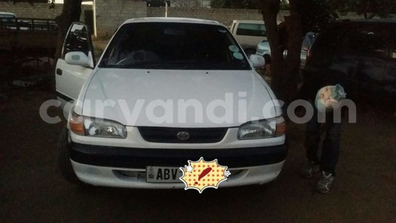 Big with watermark 30629329 194112211393369 244064733525704704 n