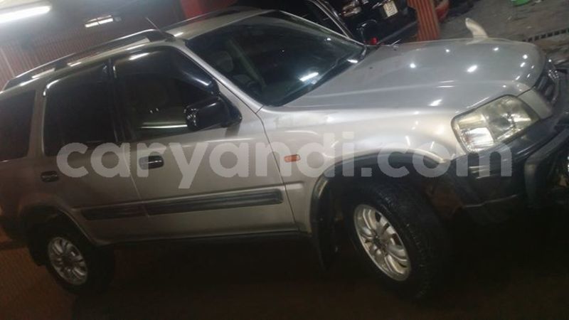 Big with watermark 30623955 578122035882356 6857030771144654848 n