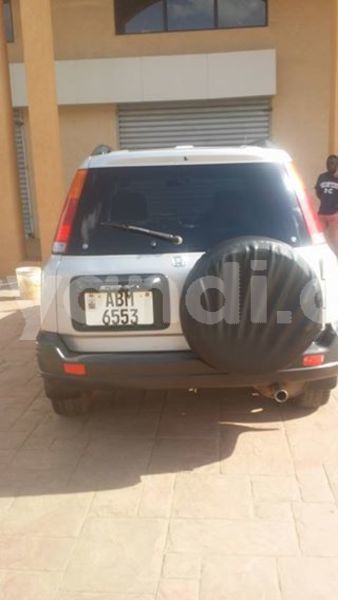 Big with watermark 30705011 1080215435450894 1812932972978896896 n