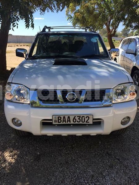 Big with watermark 30629329 194112211393369 244064733525704704 n