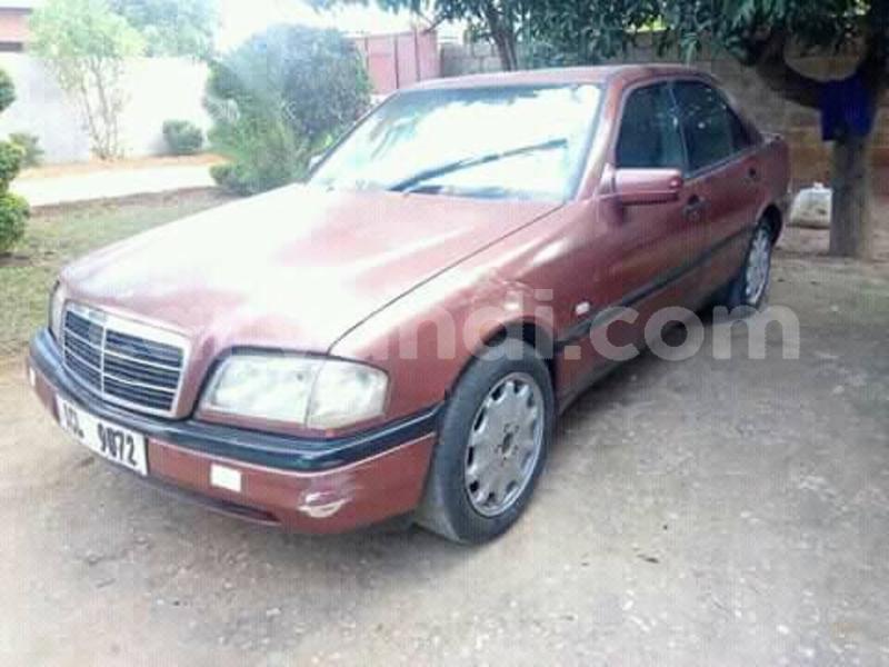 Big with watermark 30623955 578122035882356 6857030771144654848 n