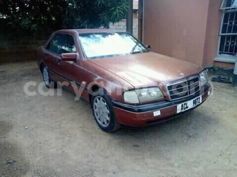 Big with watermark 30629329 194112211393369 244064733525704704 n