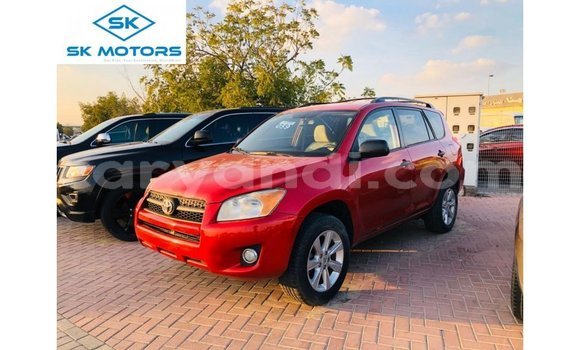 Buy Import Toyota Nadia Red Car in Import - Dubai in Zambia
