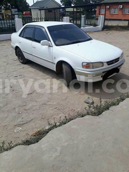 Big with watermark 30629329 194112211393369 244064733525704704 n