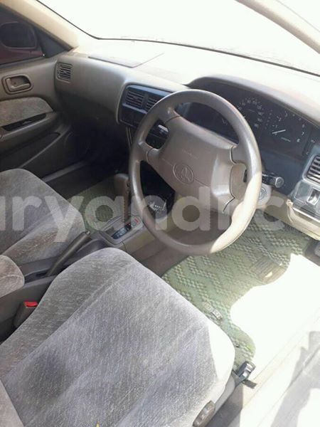 Big with watermark 30705011 1080215435450894 1812932972978896896 n