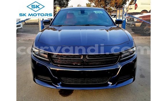 Buy Import Dodge Charger Blue Car in Import - Dubai in Zambia Buy Import Dodge Charger Blue Car in Import - Dubai in Zambia