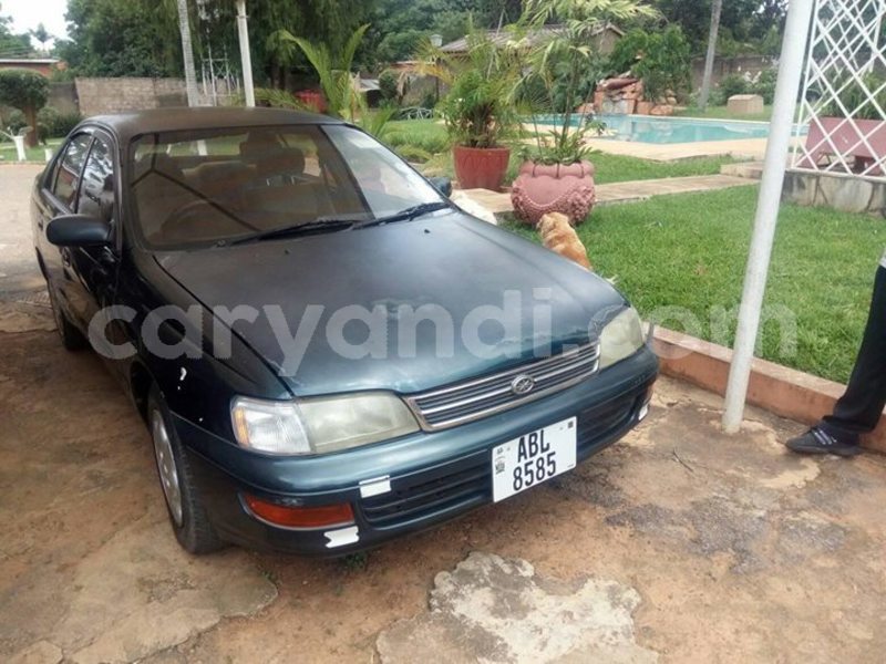 Big with watermark 30623955 578122035882356 6857030771144654848 n