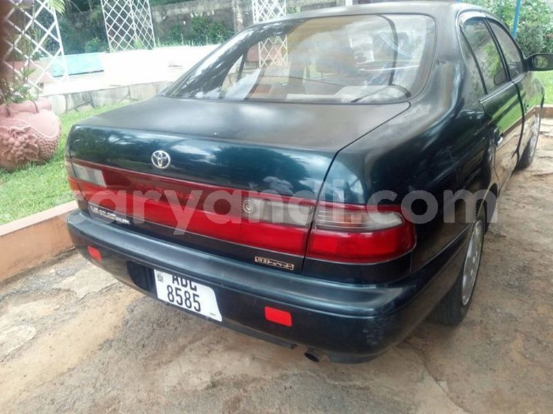 Big with watermark 30629329 194112211393369 244064733525704704 n