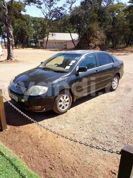 Big with watermark 30623955 578122035882356 6857030771144654848 n