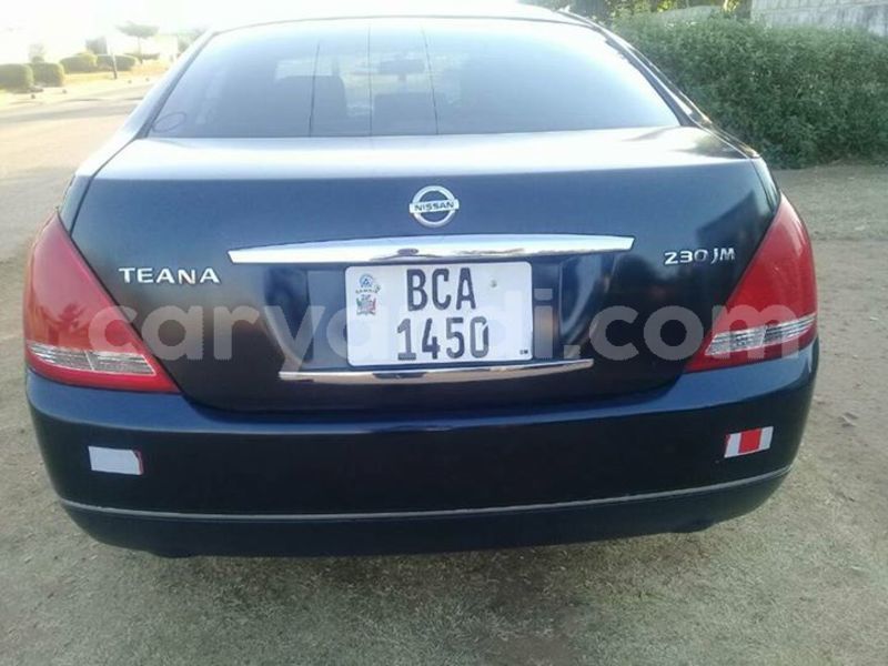 Big with watermark 30629329 194112211393369 244064733525704704 n