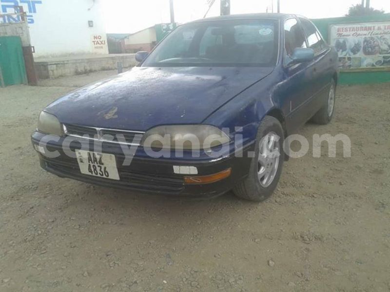 Big with watermark 30629329 194112211393369 244064733525704704 n