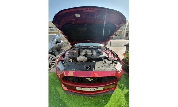 Nunua Imported Ford Mustang Nyekundu Gari ndani ya Import - Dubai nchini Zambia Nunua Imported Ford Mustang Nyekundu Gari ndani ya Import - Dubai nchini Zambia