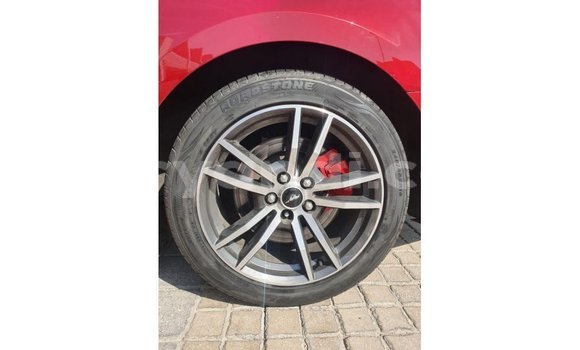 Nunua Imported Ford Mustang Nyekundu Gari ndani ya Import - Dubai nchini Zambia Nunua Imported Ford Mustang Nyekundu Gari ndani ya Import - Dubai nchini Zambia