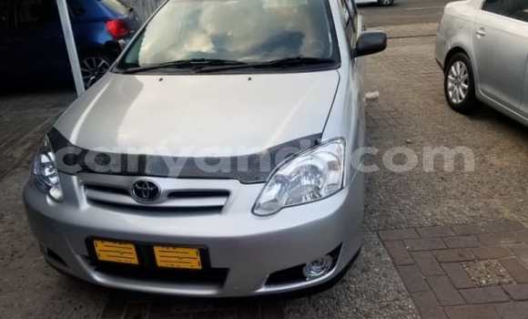 Buy Used Toyota Runx Silver Car in Isoka in Northern Buy Used Toyota Runx Silver Car in Isoka in Northern