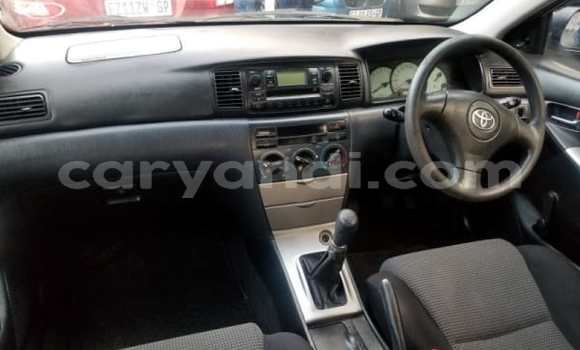 Buy Used Toyota Runx Silver Car in Isoka in Northern Buy Used Toyota Runx Silver Car in Isoka in Northern