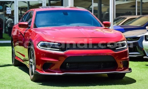 Buy Import Dodge Charger Red Car in Import - Dubai in Zambia