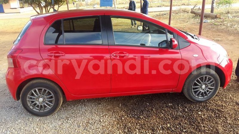 Big with watermark 30629329 194112211393369 244064733525704704 n