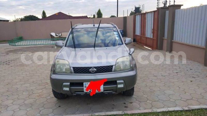 Big with watermark 30623955 578122035882356 6857030771144654848 n