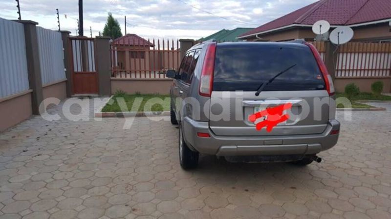 Big with watermark 30629329 194112211393369 244064733525704704 n