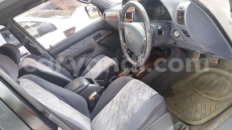 Big with watermark 30705011 1080215435450894 1812932972978896896 n